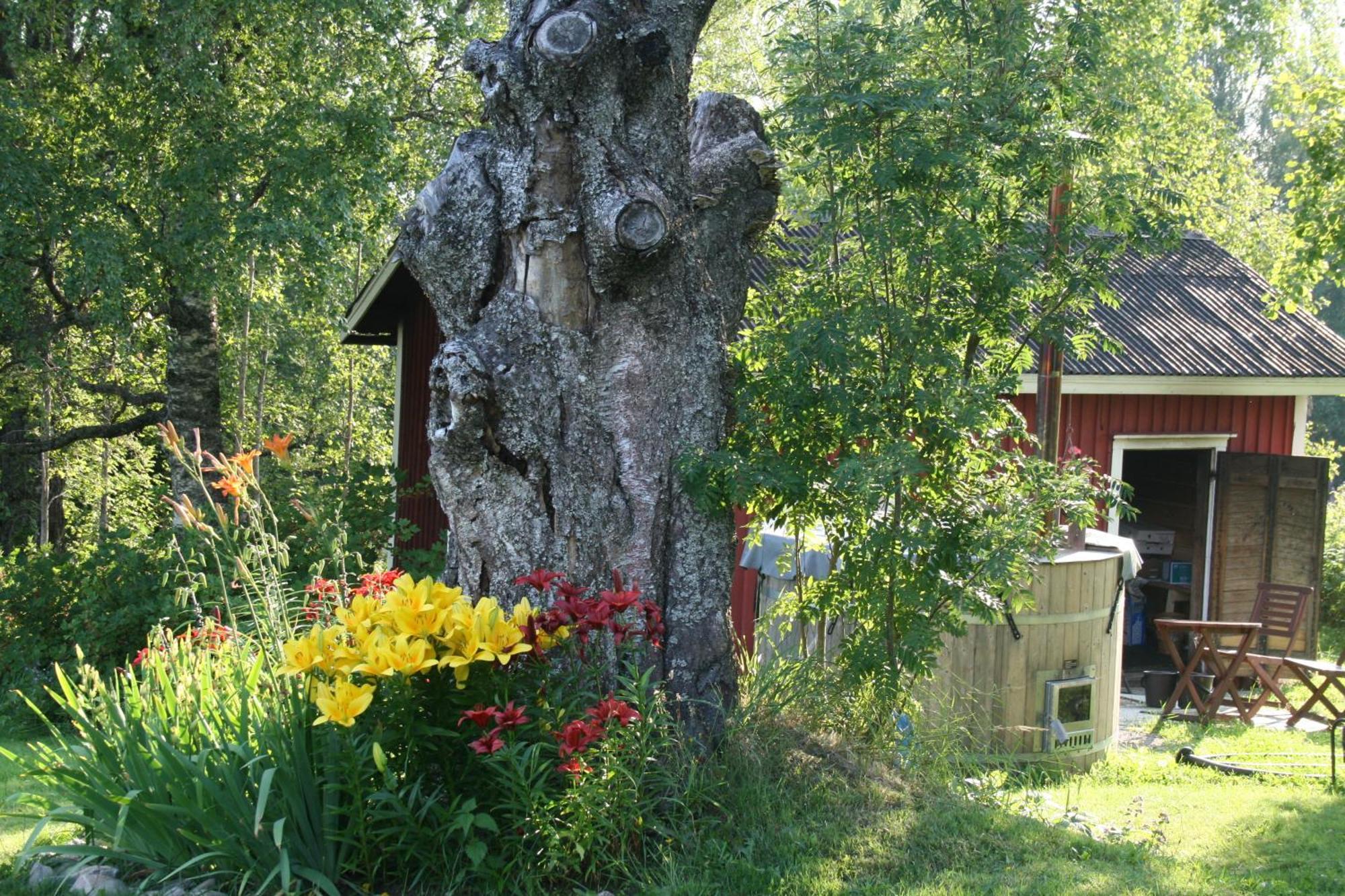 Valkeisen Loma Villa Ähtäri Exterior foto